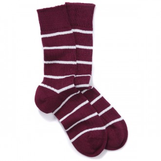 Harvard Striped Socks